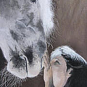 Horse Love Ii Poster