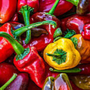 Hot Pepper Time Poster