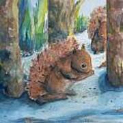 Hungry Red Squirrels Poster