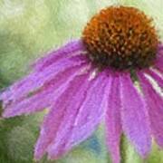 Impressionist Coneflower Poster