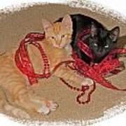 Kittens Ribbons And Beads Poster