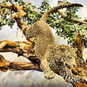 Leaping Leopard Poster