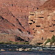 Lees Ferry -- Colorado River Poster