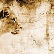 Lion In Front Of An Old Map Of Africa Poster