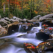 Little Pigeon River Cascading Among Poster