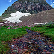 Logan Pass View Poster