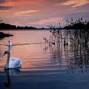 Lough Leane, Killarney National Park Poster