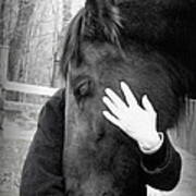 Love From A Friesian Poster