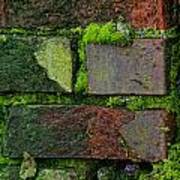 Mossy Brick Wall Poster