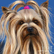 Muffin - Silky Terrier Dog Poster by Michelle Wrighton