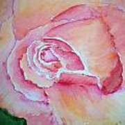 My Peach Rose Poster