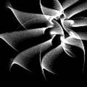 Night Flower Abstract Poster