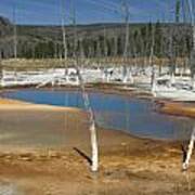 Opalescent Pool Of Yellowstone Poster