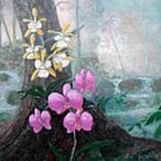 Orchid Wilderness Poster