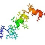 Orexin-a Hormone Molecule Poster