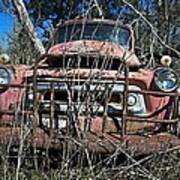 Out To Pasture Poster