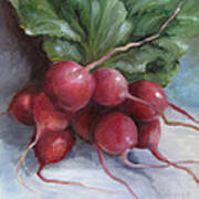 Painting Of Radishes Poster