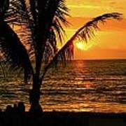 Palm Framed Sunset Poster
