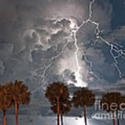 Palms And Lightning Poster