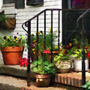 Pansies And Geraniums On Stoop Poster