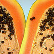 Papaya Fruit Poster
