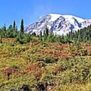 Paradise In Fall On Mt. Rainier 2 Poster