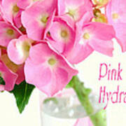 Pink Hydrangea Pastel Poster