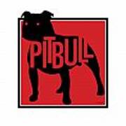 Pit Bull Red Poster