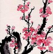 Plum Blossoms Iv Poster