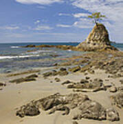 Point With Tree On Penca Beach Costa Poster