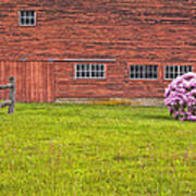 Red Barn Pink Bush Poster