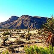 Red Rock Canyon 10 Poster