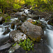 Rocky Cascades Poster