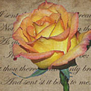 Romantic Rose Poster