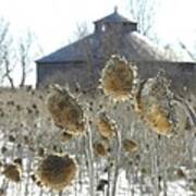 Round Barn With Sunflowers Poster