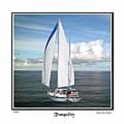 Sailboat Tranquility Poster