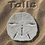 Sand Dollar Tails Poster
