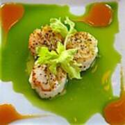 Scallops In Green Sauce Poster