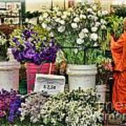Selecting Flowers Poster