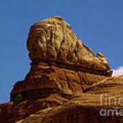 Shaq's Shoe At Canyonlands Poster