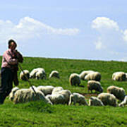 Shepherd And Flock Poster