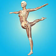 Skeleton Dancing Poster