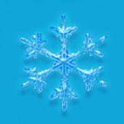 Snowflake Poster
