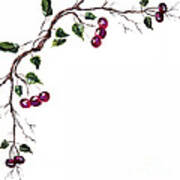 Spray Of Cherries Poster