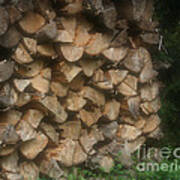 Stacked Firewood Poster