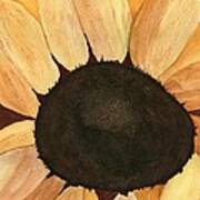 Sunflower Poster