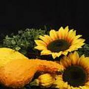 Sunflowers And Squash Poster