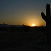 Sunrise Saguaro Poster