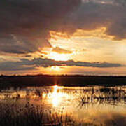 Sunset Over Wetlands Panorama Poster