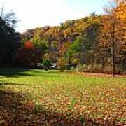 Taughannock Park Poster